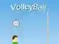 Igra VolleyBall spletu