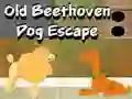 Igra Old Beethoven Dog Escape spletu