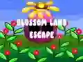 Igra Blossom Land Escape spletu