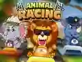Igra Animal Racing spletu