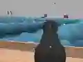 Igra Ships 3D spletu