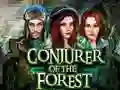 Igra Conjurer Of The Forest spletu
