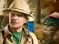 Igra Secret Gold spletu