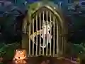 Igra Cute Pirate Girl Escape spletu