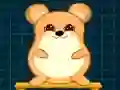 Igra Hamster Grid Average spletu