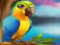 Igra Little Parrot Escape spletu