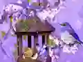 Igra Wonderful Humming Bird Land Escape spletu