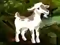 Igra Searching Goat Child spletu