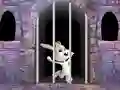 Igra Victory Rabbit Escape spletu