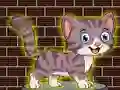 Igra Loveable Small Cat Escape spletu