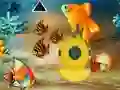 Igra Save The Mother Fish spletu