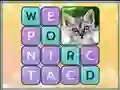 Igra Word Search Pictures spletu