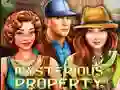 Igra Mysterious Property spletu