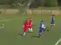 Igra Quiz-Referee spletu