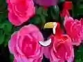 Igra Precious Rose Escape spletu