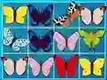 Igra King Of Mahjong spletu