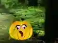 Igra Help The Hungry Monkey spletu