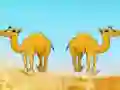 Igra Desert Gold Rush The Great Treasure Escape spletu