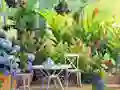 Igra Find The Cute Pandas spletu