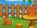 Igra Funny Iguana Escape spletu
