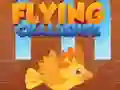 Igra Flying Challenge spletu