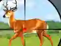 Igra Wild Hunt Hunting Games 3D spletu