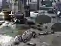 Igra Friends Rescue From Skeleton spletu