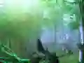 Igra Trapped Honeybee Escape spletu