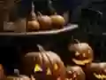 Igra Halloween Weird Pumpkin Escape spletu