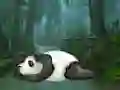 Igra Wakeup The Sleeping Panda spletu