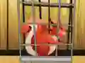Igra Rescue The Red Squirrel From Cage spletu