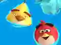 Igra Coloring Book: Angry Birds spletu
