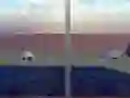 Igra Escape from the House with Turtles spletu