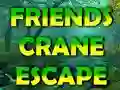 Igra Friends Crane Escape spletu