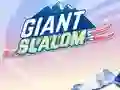 Igra Giant Slalom spletu