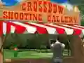 Igra Crossbow Shooting Gallery spletu
