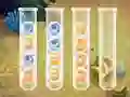 Igra Sort Bubbles spletu