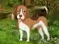 Igra Flower Garden Dog Escape spletu