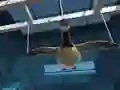 Igra Goose Museum spletu