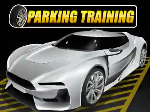 Igra Parking Training spletu