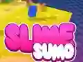 Igra Sumo Slime 3D spletu