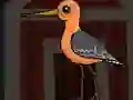 Igra Cute Godwit Escape spletu