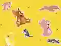 Igra The Tom and Jerry Show Find it! spletu