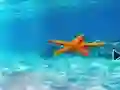 Igra Escape From Underwater Starfish spletu