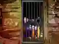 Igra Hidden Cat Escape spletu