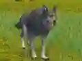 Igra The Wolf: Wild Animal Simulator spletu