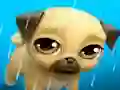 Igra My Virtual Pet Louie the Pug spletu