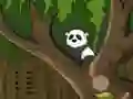 Igra Panda Jungle Escape spletu