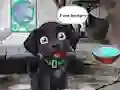 Igra Feed Hungry Black Dog spletu
