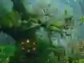 Igra Innocent Sparrow Couple Escape spletu
